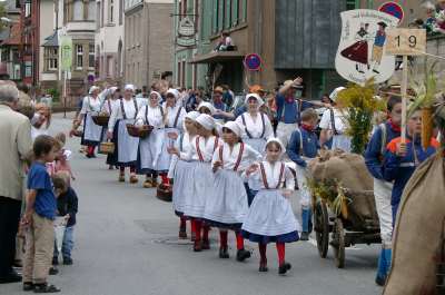 Die TVG-Starkenburg beim Winzerfestumzug in Bensheim