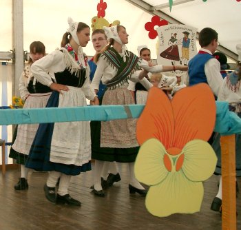Die Kinder- und Jugendlichen der TVG Starkenburg nach der Aufführung