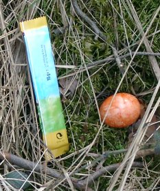 Ostereier und Schokohase